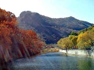 新澳天天开奖资料大全旅游团，扶沟seo培训